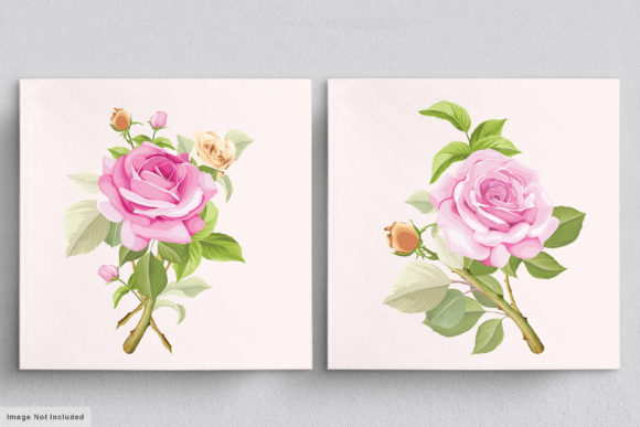 Download Beautiful Roses Hand Drawn Illustrations - Hand drawn illustrations Collection
