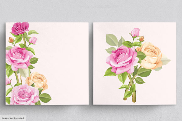 Download Beautiful Roses Hand Drawn Illustrations - Hand drawn illustrations Collection