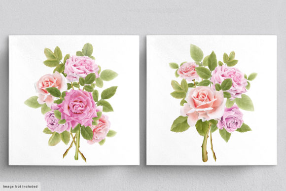 Download Beautiful Roses Hand Drawn Illustrations - Hand drawn illustrations Collection